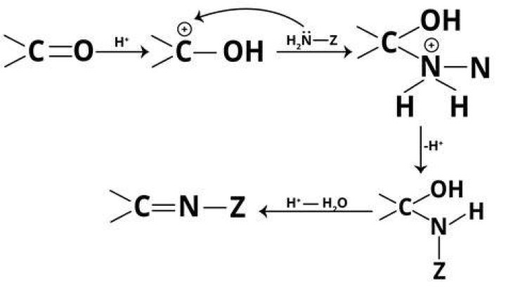 Ammonia Derivatives