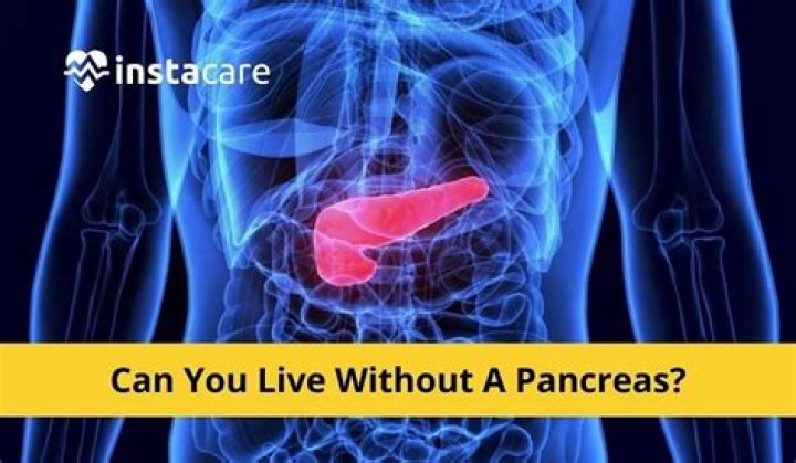 can you live without your pancreas