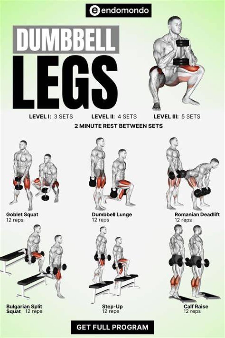 dumbbell leg workout