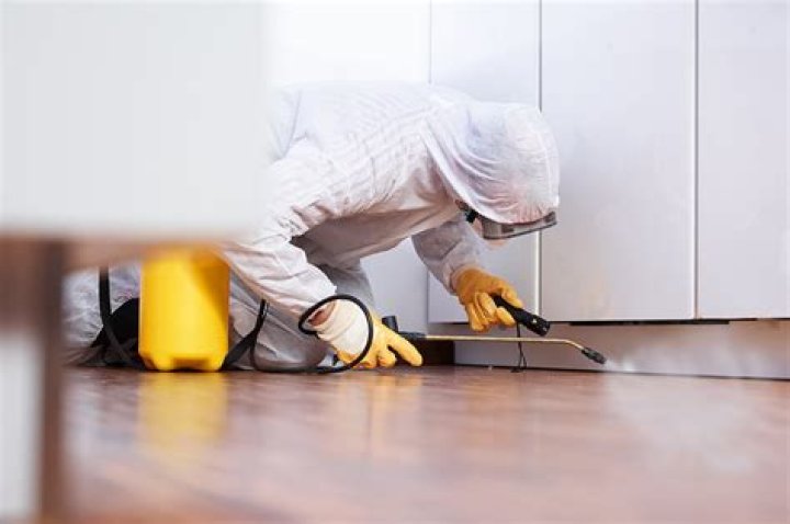 flea exterminator