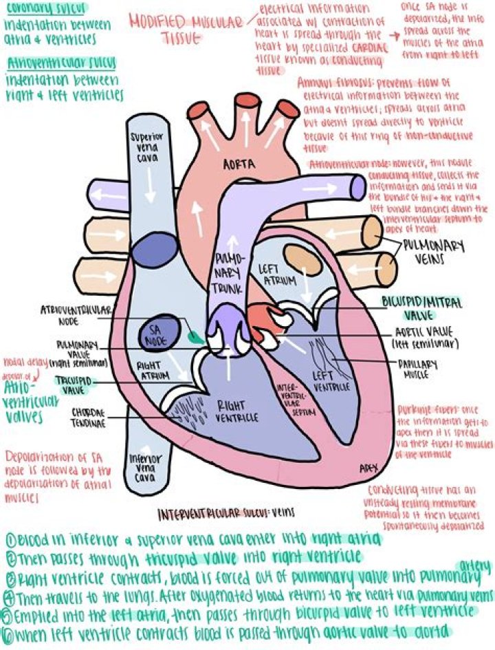 :heart: