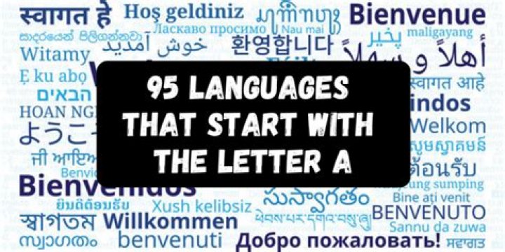 Languages That Start With P