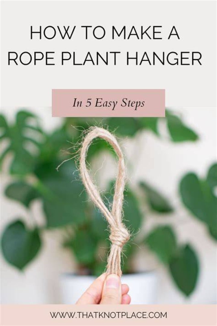 rope plant hanger