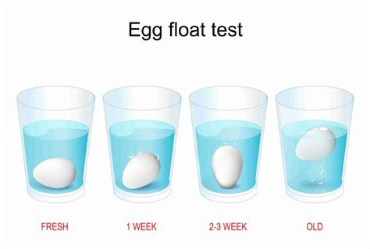 What Does It Mean When An Egg Floats